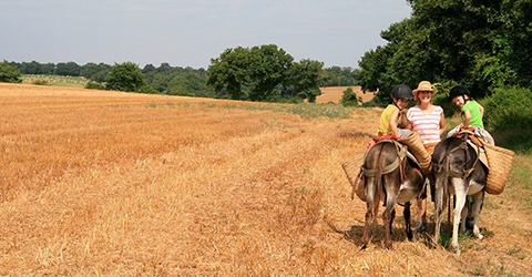 
                  La Vallée des Cerfs