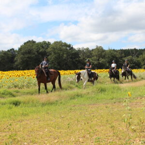 Châteaux et Paysages