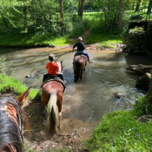 Paysages de bocages et d'élevages
