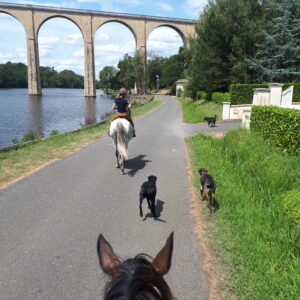 Les secrets de la Basse Marche